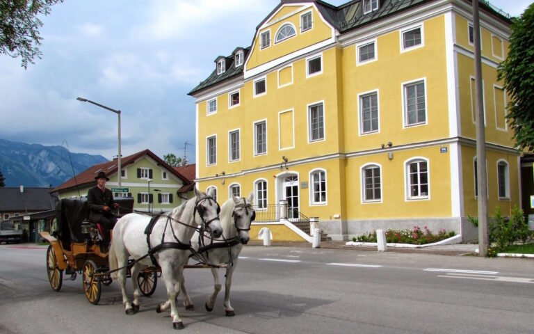 American International School