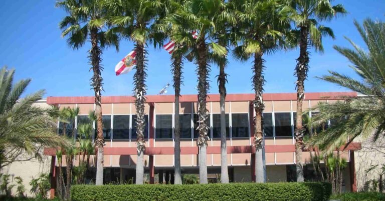 University of South Florida
